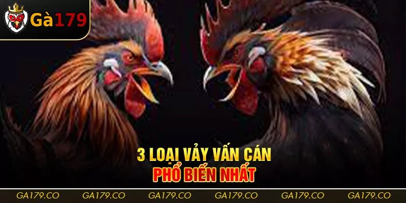 3 loại vảy vấn cán phổ biến nhất 3 loại vảy vấn cán phổ biến nhất