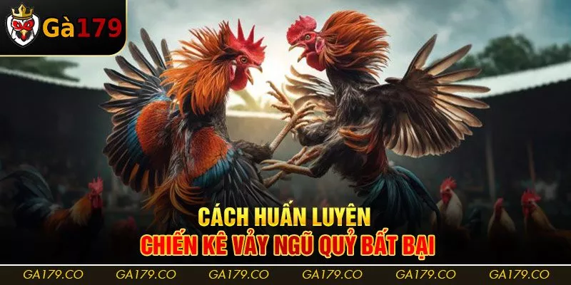 Cách huấn luyện chiến kê vảy ngũ quỷ bất bại