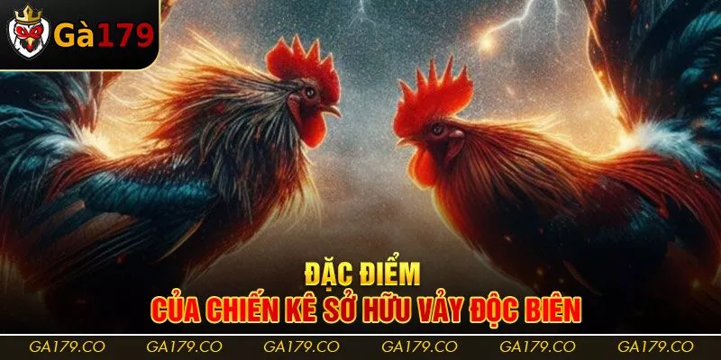 Đặc điểm của chiến kê sở hữu vảy độc biên Đặc điểm của chiến kê sở hữu vảy độc biên