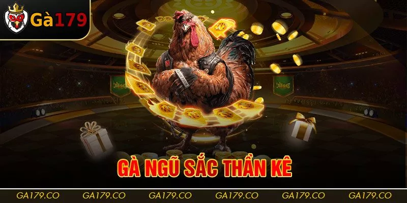 Gà Ngũ Sắc Thần Kê
