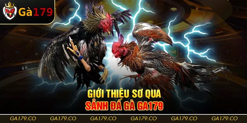 Giới thiệu sơ qua sảnh đá gà Ga179