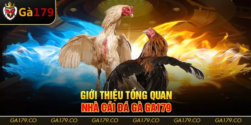 Giới thiệu tổng quan nhà cái đá gà Ga179