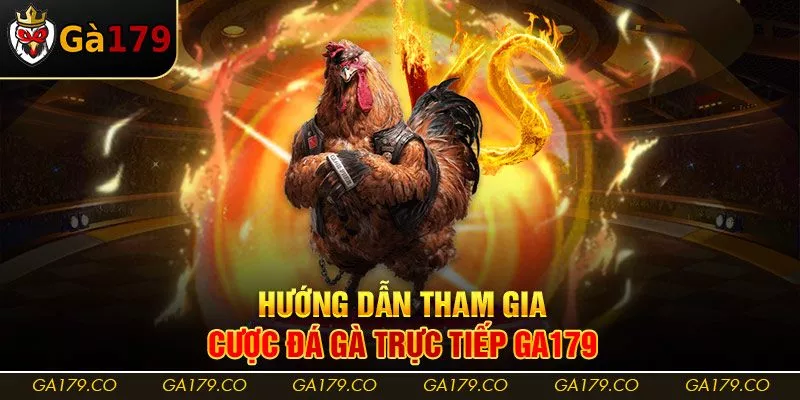 Hướng dẫn tham gia cược đá gà trực tiếp Ga179
