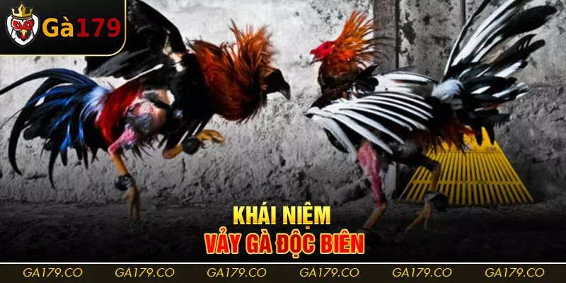 Khái niệm vảy gà độc biên Khái niệm vảy gà độc biên