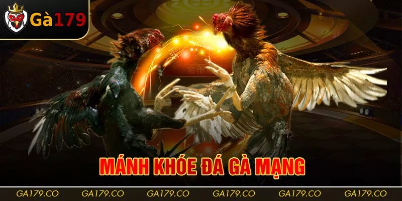 Mánh Khóe Đá Gà Mạng | Bỏ Túi 5 Mẹo Hay Từ Cao Thủ Ga179