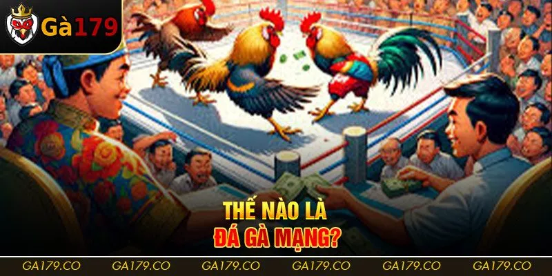 Thế nào là đá gà mạng?