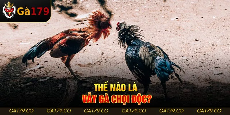 Thế nào là vảy gà chọi độc?