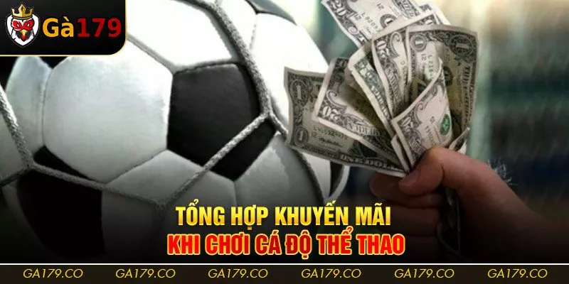 Tổng hợp khuyến mãi khi chơi cá độ thể thao