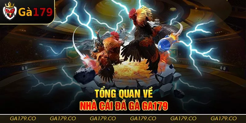 Tổng quan về nhà cái đá gà Ga179 Tổng quan về nhà cái đá gà Ga179