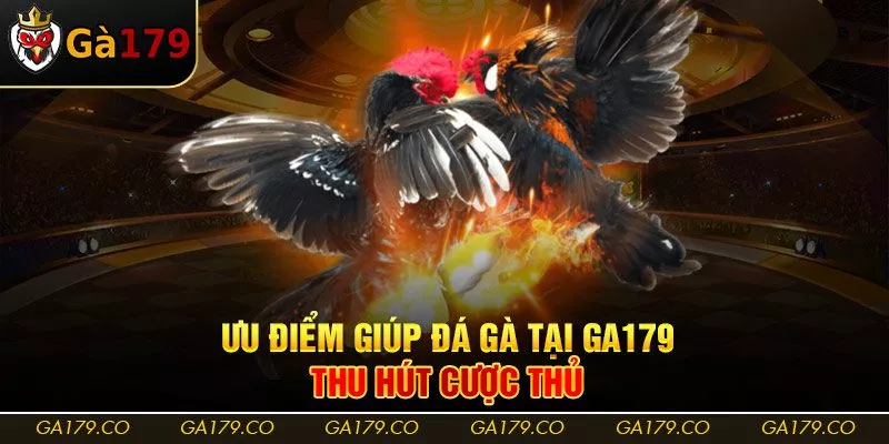 Ưu điểm giúp đá gà tại Ga179 thu hút cược thủ