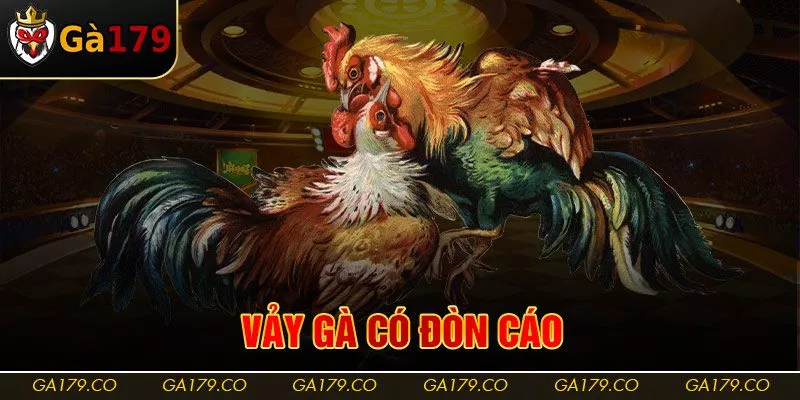 Dựa vào đặc điểm thân thể gà để xác định
