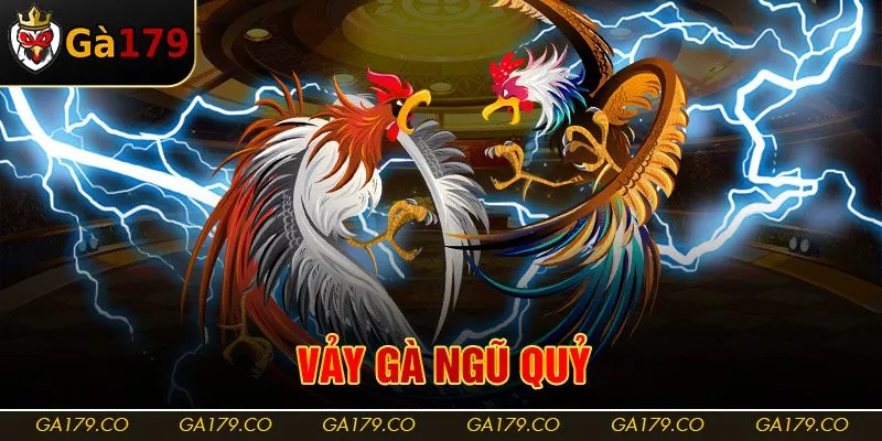 Vảy Gà Ngũ Quỷ | Đặc Điểm Nhận Diện Chiến Kê Đá Cực Sung